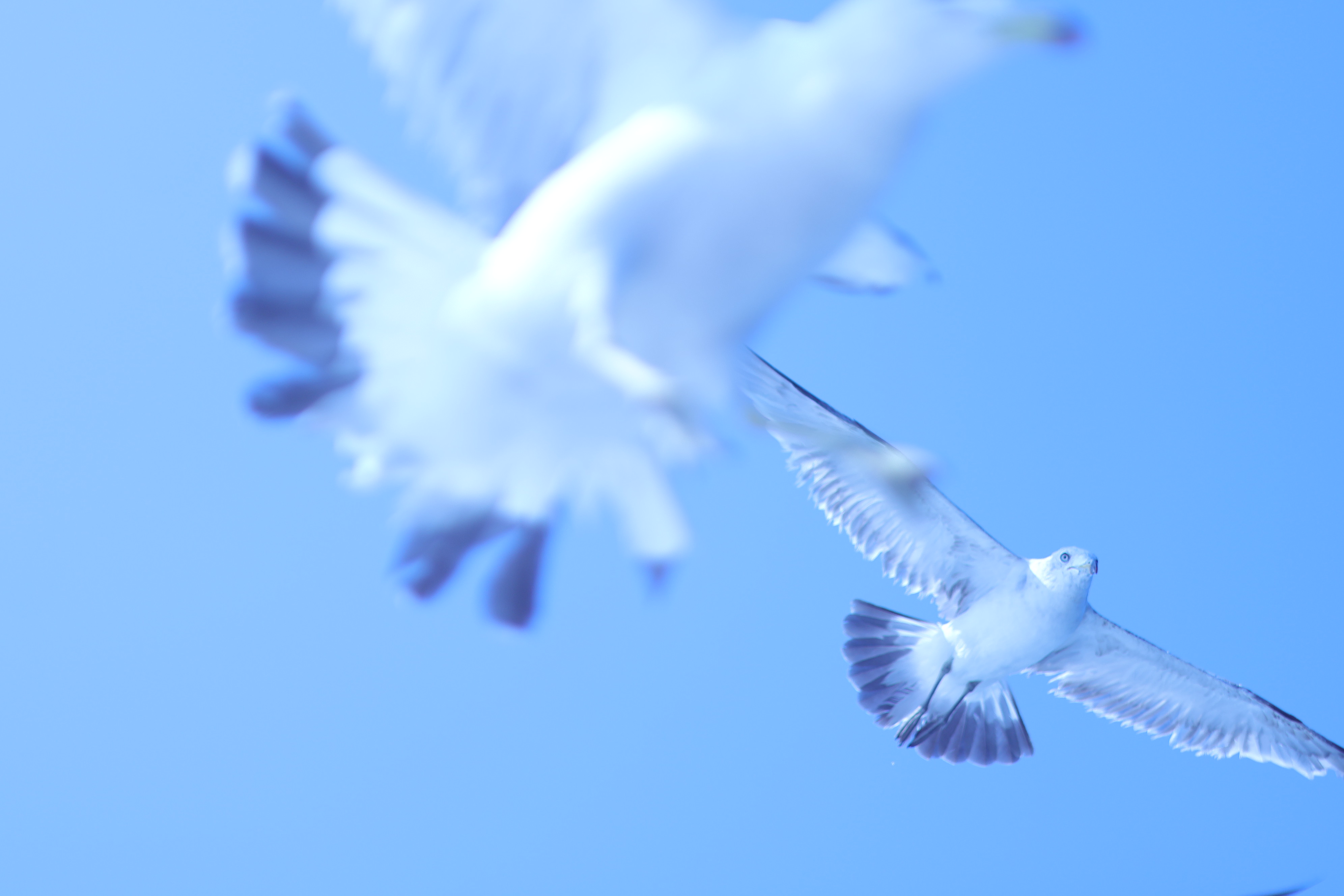 hyt3图片加载失败