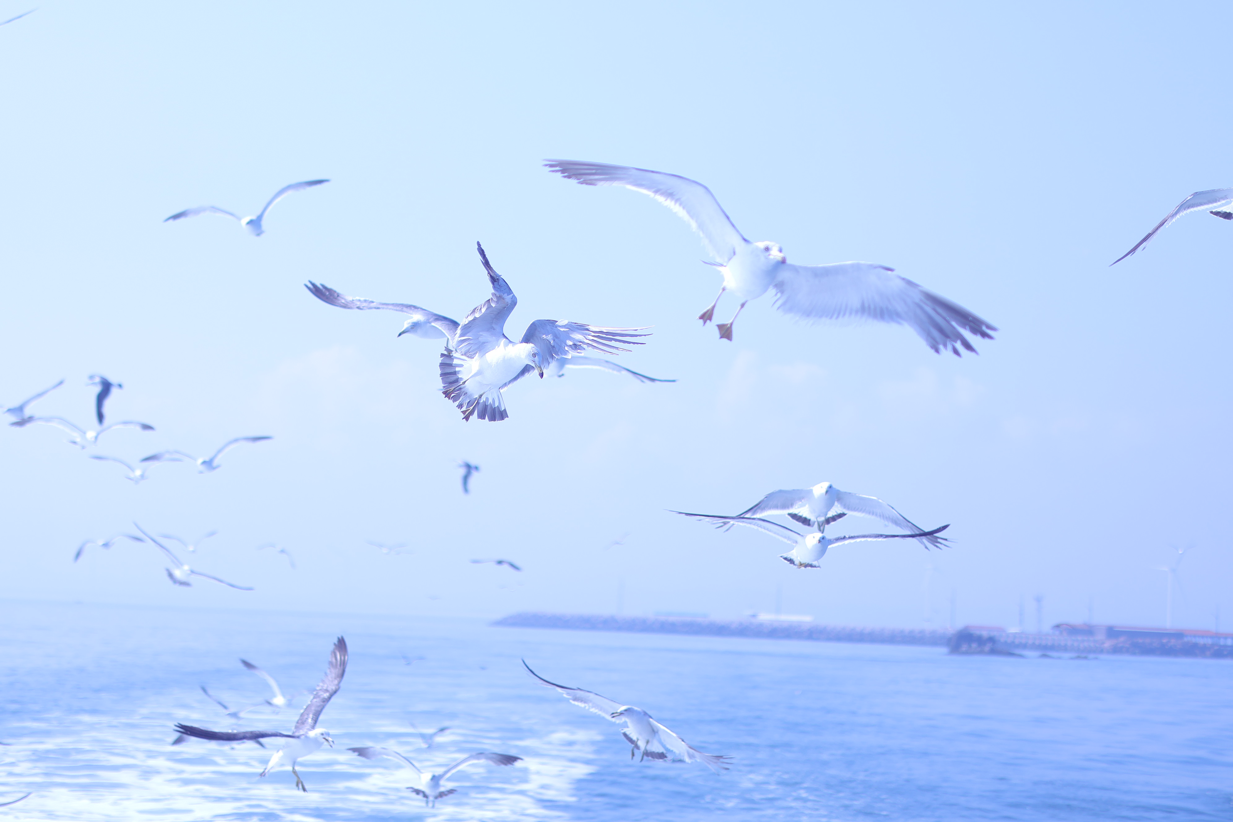 hyt4图片加载失败