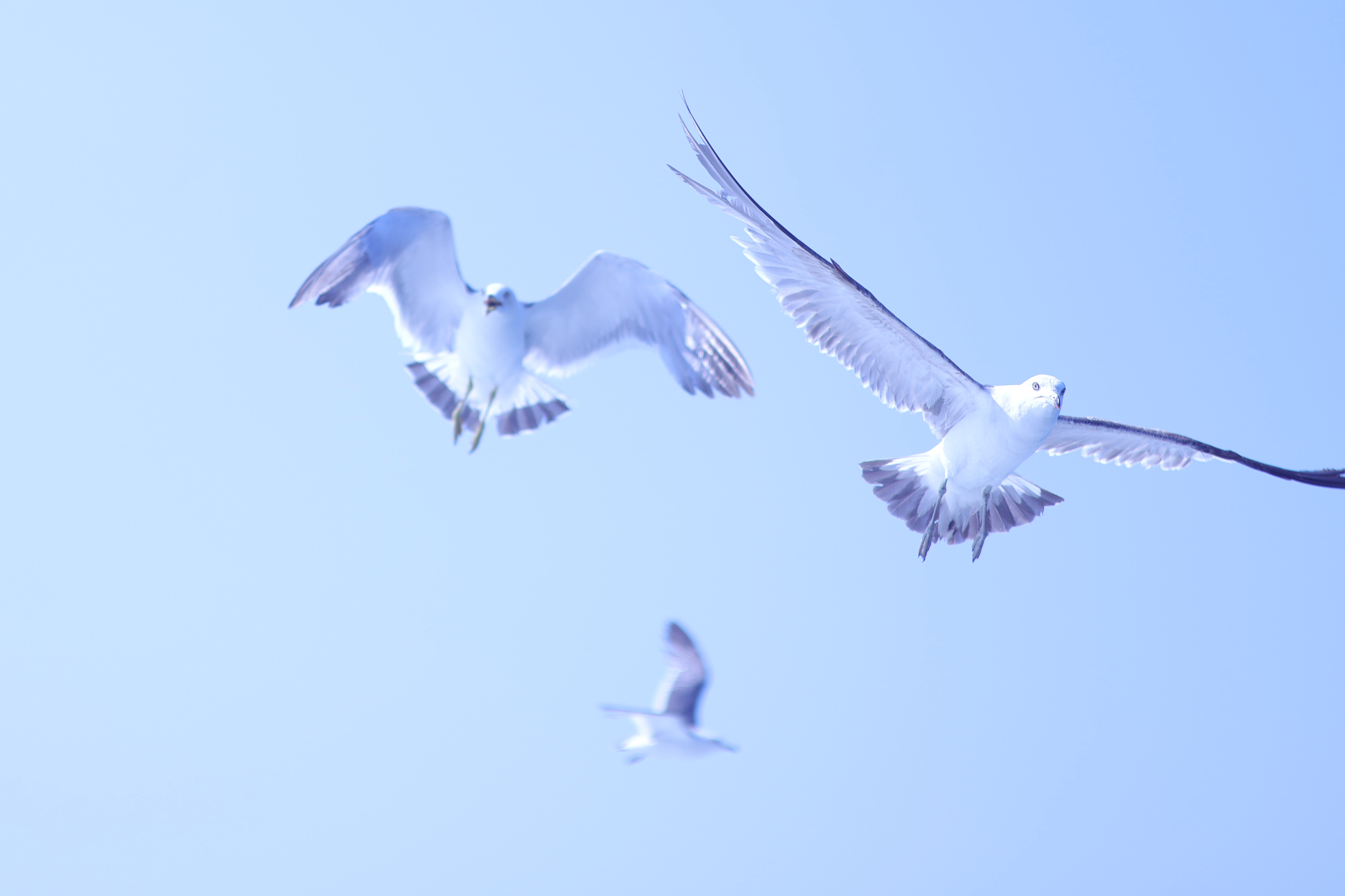 hyt5图片加载失败