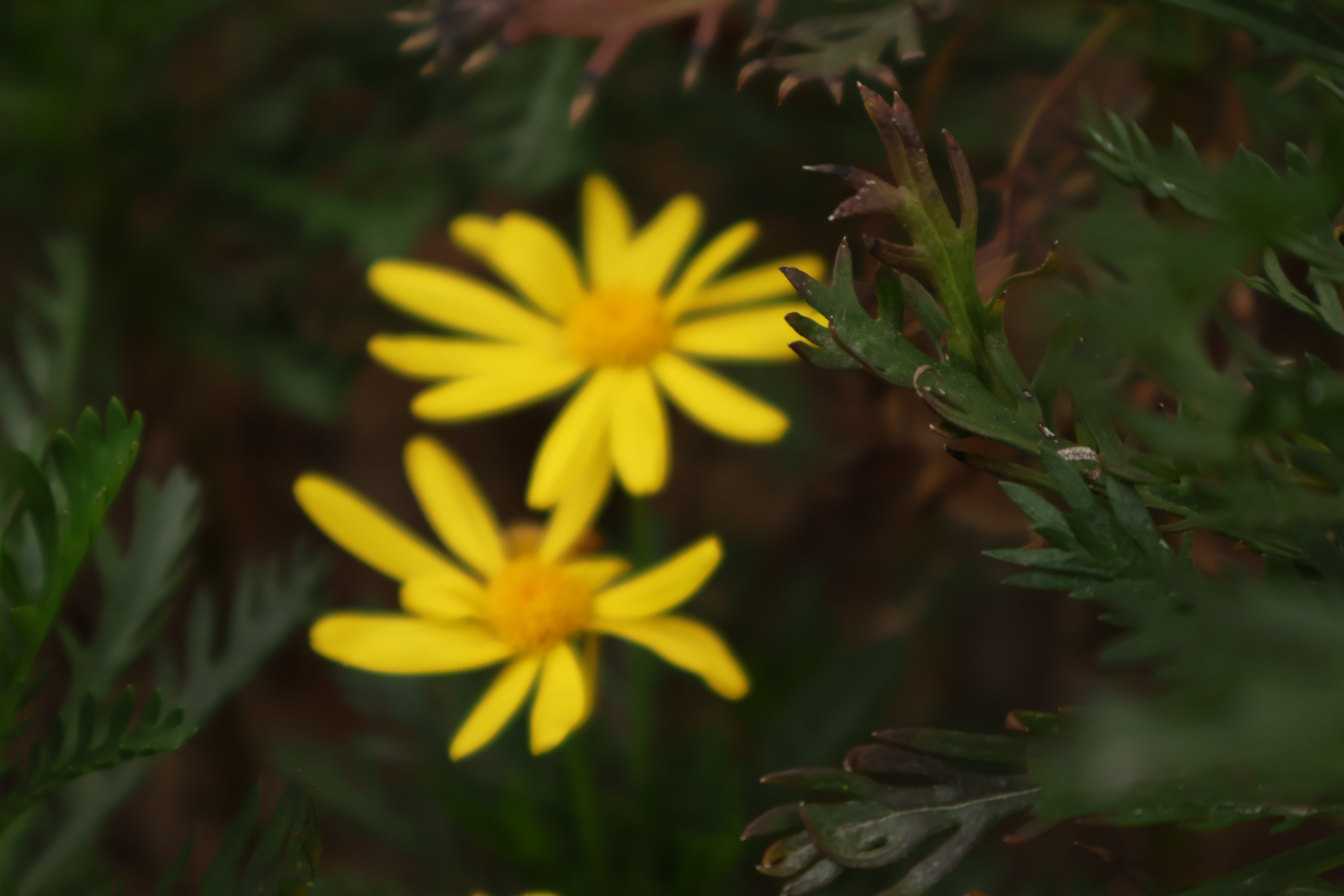 hyt7图片加载失败